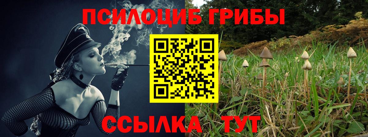Галлюциногенные грибы ЛСД  Галлюциногенные грибы Psilocybe  Горно-Алтайск  Вход с VPN 