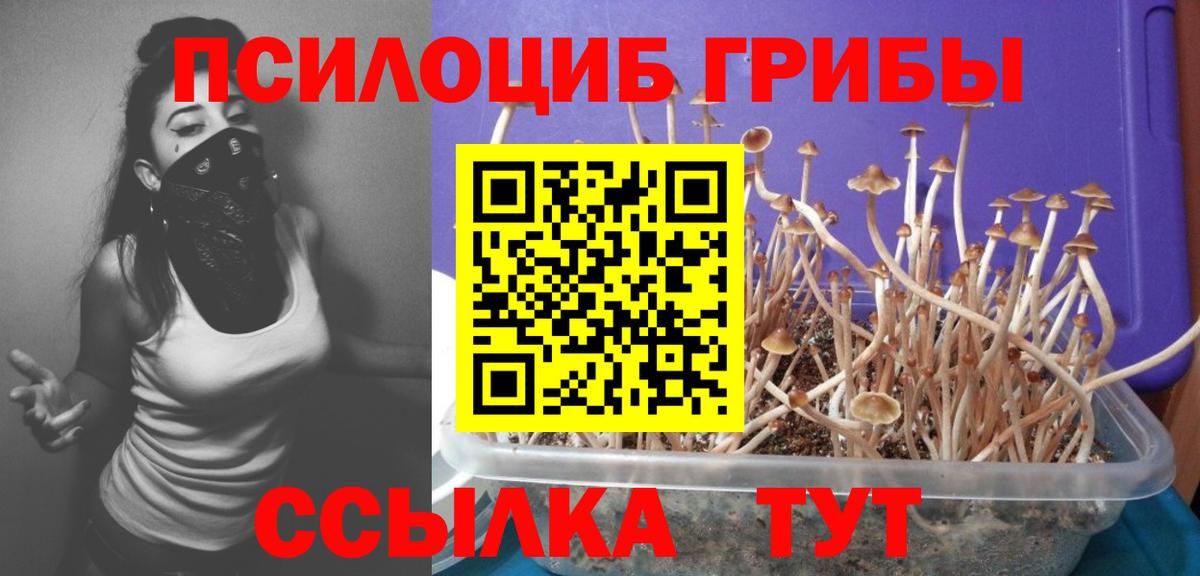 Галлюциногенные грибы ЛСД Горно-Алтайск